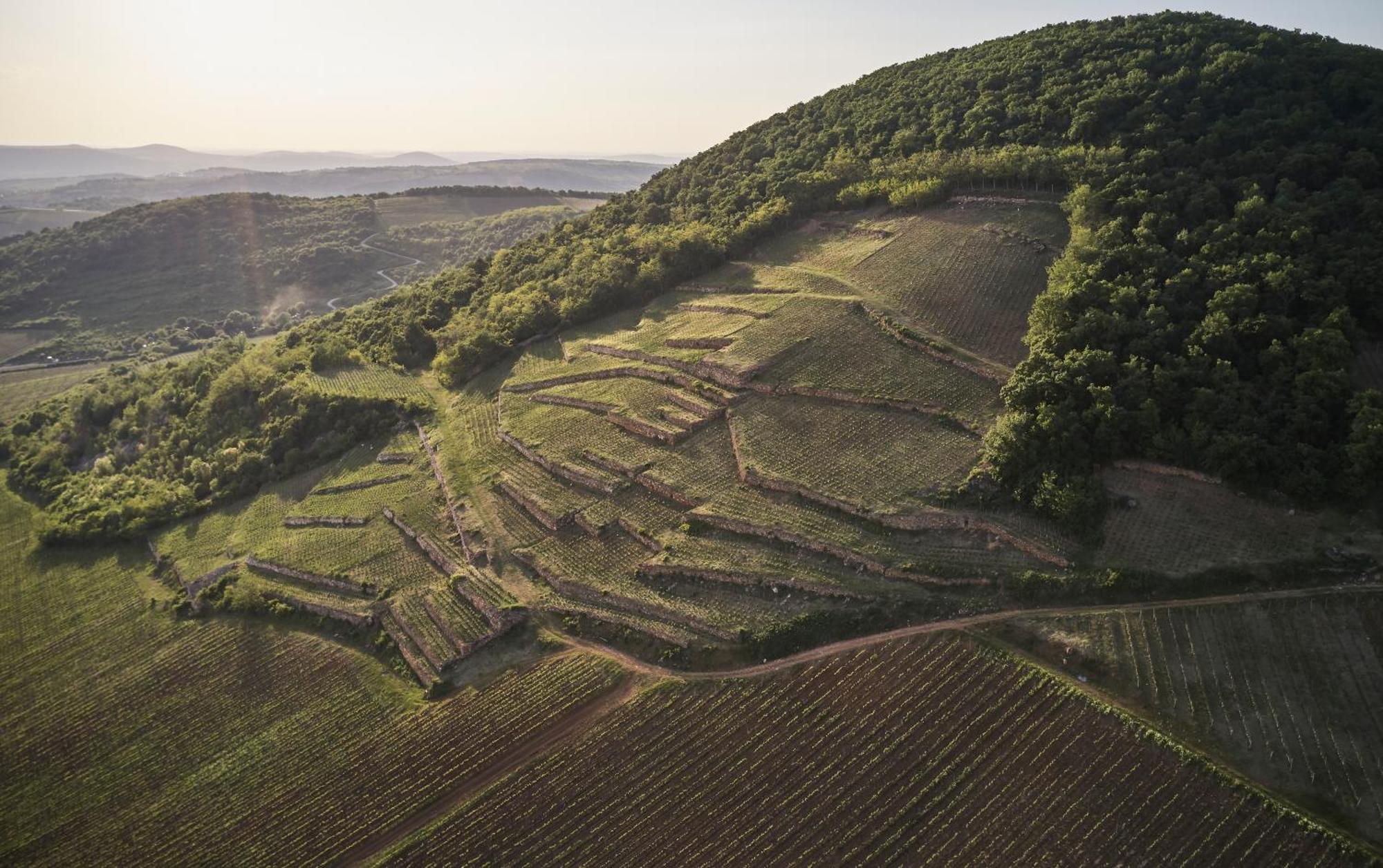 Barta Pince Rákóczi Lakosztályok Mád Exterior foto